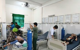 Ba người bị ong đốt khi đi tảo mộ, phải cấp cứu khẩn