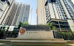 Người thân Tổng giám đốc Hà Đô không mua hết 5 triệu cổ phiếu như đăng ký