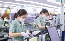 Ba nhóm hàng xuất khẩu mang về hơn 109 tỷ USD cho Việt Nam
