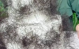 Bánh kem phủ "tóc rối" gây sốt tại Việt Nam: Nhìn như tóc thật nhưng ai cũng tò mò muốn thử