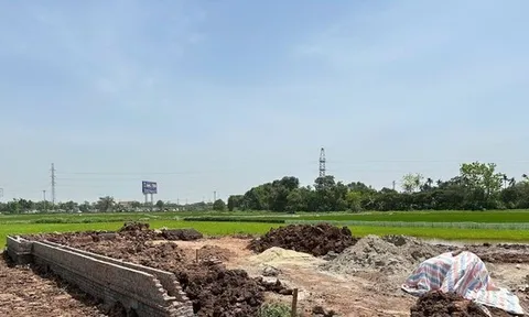 Hà Nội: Để xảy ra vi phạm về đất đai, 2 chủ tịch xã bị tạm đình chỉ