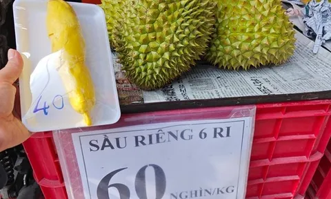 Sầu riêng loạn giá, xuất khẩu giảm sâu