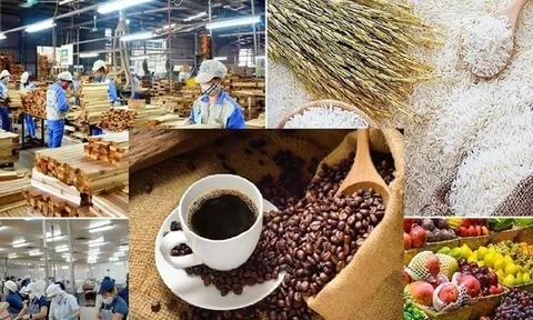 Lộ diện 'ngôi sao' sáng nhất của nông sản Việt Nam