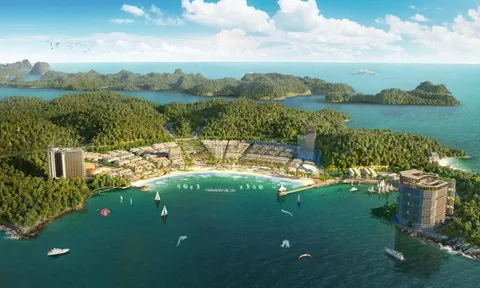 Thành phố Vịnh trung tâm Xanh Island: Tâm điểm vượng khí giữa trung tâm Cát Bà