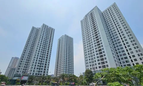 Cận cảnh khu hàng trăm căn hộ được 'đặt hàng' làm nhà tái định cư bỏ hoang giữa lúc dân 'khát' nhà ở