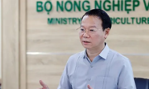 Xuất khẩu sầu riêng sang Trung Quốc sụt giảm nghiêm trọng, Bộ Nông nghiệp và Môi trường họp bàn