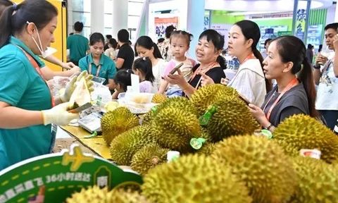 Quốc gia hàng đầu khu vực e ngại sự trỗi dậy của nông sản Việt Nam