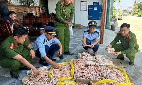 Kiểm tra đột xuất công ty thực phẩm sạch, phát hiện 500 kg chân gà, đuôi lợn không rõ nguồn gốc