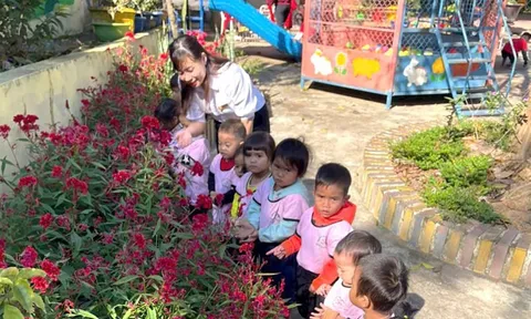 Quảng Trị chậm xét thăng hạng chức danh nghề nghiệp cho giáo viên
