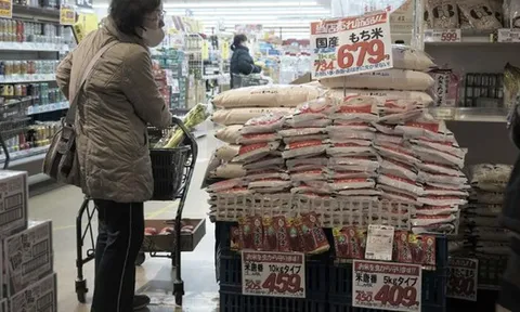 Một quốc gia châu Á ‘chật vật’ với bão giá gạo do nguồn cung khan hiếm: Vì sao giải phóng kho dự trữ, tăng cường nhập khẩu vẫn không thể giảm?