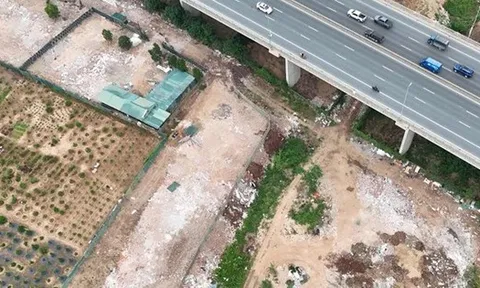Chủ tịch Hà Nội yêu cầu xử lý nghiêm các đối tượng san lấp đất nông nghiệp, xây dựng trái phép tại bãi bồi sông Hồng