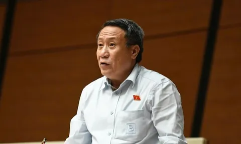 Vi phạm nhỏ, doanh nhân có thể được tại ngoại