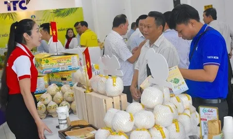 Khan hàng loại quả xuất khẩu tỉ USD, giá tăng mạnh