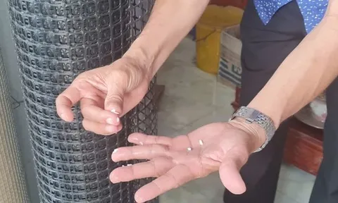 Phát hiện ‘gạo lạ’ ở Hậu Giang