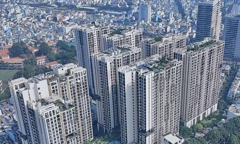 Rà soát quy định về cho thuê căn hộ ngắn ngày