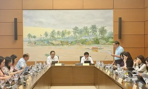 ĐBQH ủng hộ giảm thuế GTGT đến hết năm 2026 để thúc đẩy tiêu dùng, giữ đà tăng trưởng