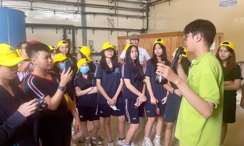 Bài học trực quan về môi trường tại Công ty VWS