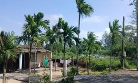 Quảng Nam xem xét phục hồi pháp lý cho Khu du lịch sinh thái Lê Phan