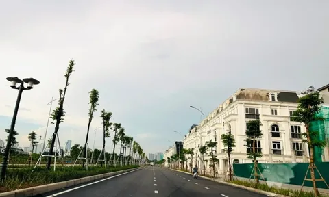Ngành bất động sản nhà ở phục hồi mạnh mẽ