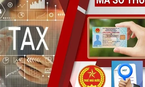 Sử dụng số định danh cá nhân thay cho mã số thuế từ 01/7/2025: Lưu ý với người nộp thuế