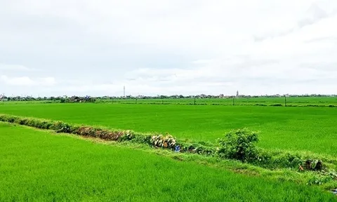 Người dân lưu ý một số điều kiện quan trọng sau đây khi muốn chuyển nhượng đất đai trong năm 2025