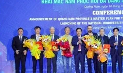 Quảng Nam chấp thuận chủ trương đầu tư dự án hạ tầng khu công nghiệp 3.373 tỷ đồng