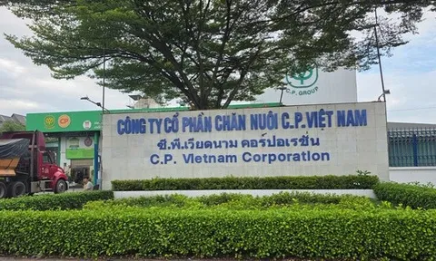 Công ty C.P. Việt Nam từng bị UBND tỉnh Đồng Nai xử phạt gần 800 triệu đồng