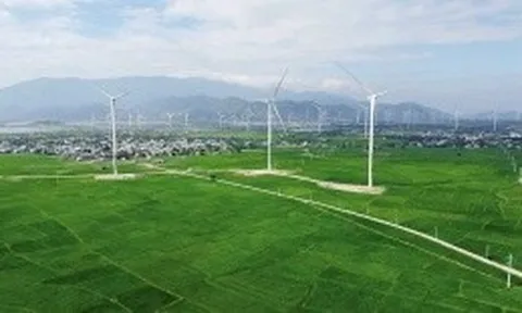 Dự án năng lượng tại Ninh Thuận: Phát sinh vấn đề chồng lấn quy hoạch