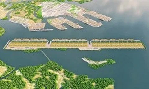 Đề xuất cơ chế đặc thù thu hút nhà đầu tư chiến lược dự án cảng Cần Giờ