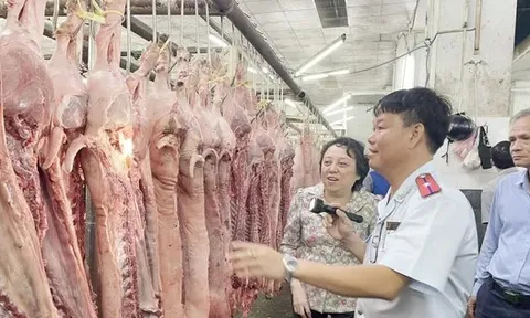 Thanh kiểm tra cơ sở giết mổ động vật trên cả nước