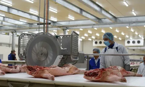 Yêu cầu chấn chỉnh công tác giết mổ lợn sau loạt vụ việc nghiêm trọng