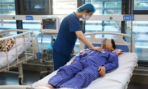 Cứu sống 4 người bị ngộ độc do ăn nấm hái trên rừng