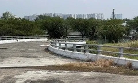 TP.HCM phấn đấu khởi công tuyến đường 19.397 tỷ đồng nối với Long An vào đầu năm 2026
