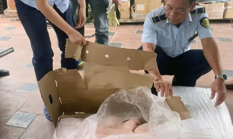 Gần 1 tấn chân gà, thịt trâu không rõ nguồn gốc bị phát hiện ở Hà Nội