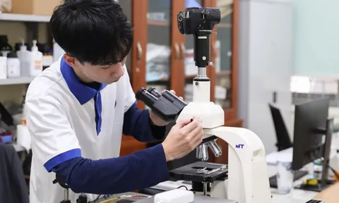 Góc khuất học sinh nghiên cứu khoa học: Trả lại giá trị thật cho cuộc thi