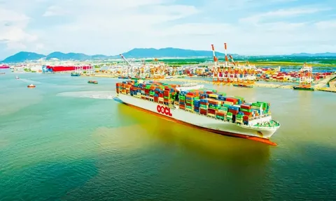 Bà Rịa - Vũng Tàu: Công nghiệp chế biến tăng mạnh