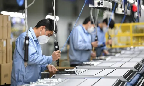 Sếp FPT lý giải vì sao hơn 110.000 doanh nghiệp biến mất 5 tháng đầu năm 2025 nhưng chỉ số kinh tế vẫn tăng cao