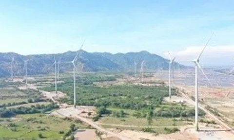 Ninh Thuận: 4 dự án điện gió sắp hoàn thành việc lựa chọn đơn vị tư vấn