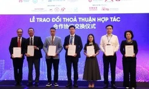Còn nhiều dư địa hợp tác đầu tư giữa TP.HCM với doanh nghiệp vùng Vịnh lớn Trung Quốc