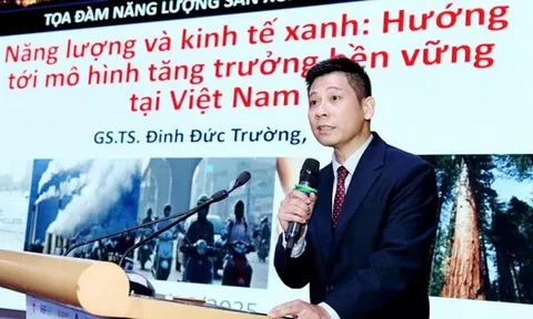 GS.TS Đinh Đức Trường: "Một đôi giày Nike giá 200 USD nhưng Việt Nam chỉ thu về khoảng 15 USD, trong khi phải gánh chịu chi phí môi trường rất lớn"