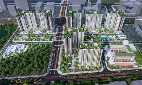 Năm Bảy Bảy được chấp thuận chủ trương đầu tư dự án Khu dân cư cao tầng NBB III