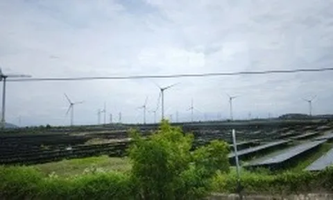 Ninh Thuận có 12 khu đất đấu thầu thực hiện dự án điện mặt trời