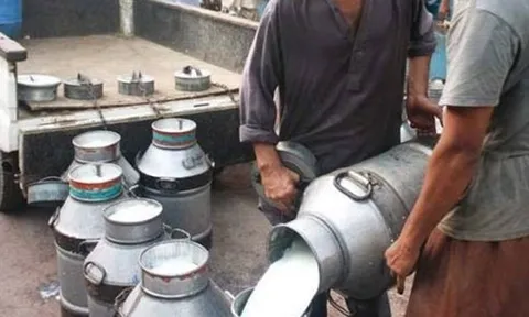 Đột kích một nhà máy, công an triệt phá đường dây sản xuất sữa giả từ hóa chất, tịch thu máy trộn công nghiệp, dầu thực vật kém chất lượng và hàng trăm lít nước bẩn