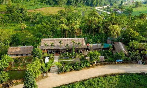 Sau sáp nhập, tỉnh này có 3 Vườn Quốc gia: 'Độc nhất' ở miền Bắc, cách Hà Nội gần 100km
