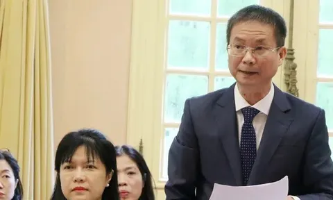 Thanh tra Chính phủ có quyền thanh tra lại trong trường hợp nào?