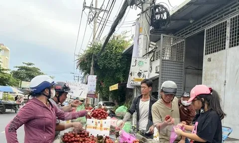 Vải thiều đại hạ giá tại TPHCM