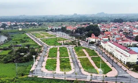 Hà Nội: Rầm rộ đấu giá đất rồi... bỏ hoang lãng phí