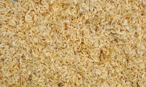 Mắt xích quan trọng bứt phá tại Mỹ, Trung Quốc - “Mỏ vàng” tỷ đô của Việt Nam sắp bùng nổ?
