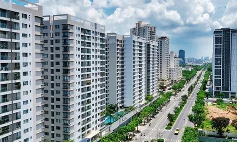 TS. Nguyễn Văn Đính: Giá chung cư Bình Dương (cũ) đang khá mềm 40-50 triệu/m2, nhưng sau khi sáp nhập vào TP.HCM, chắc chắn mức giá này sẽ không còn