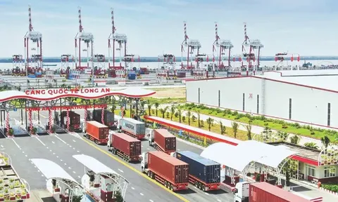 Cảng biển Long An đặt mục tiêu đạt 20 triệu tấn hàng hóa vào năm 2030